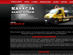 Profesjonalna auto kasacja